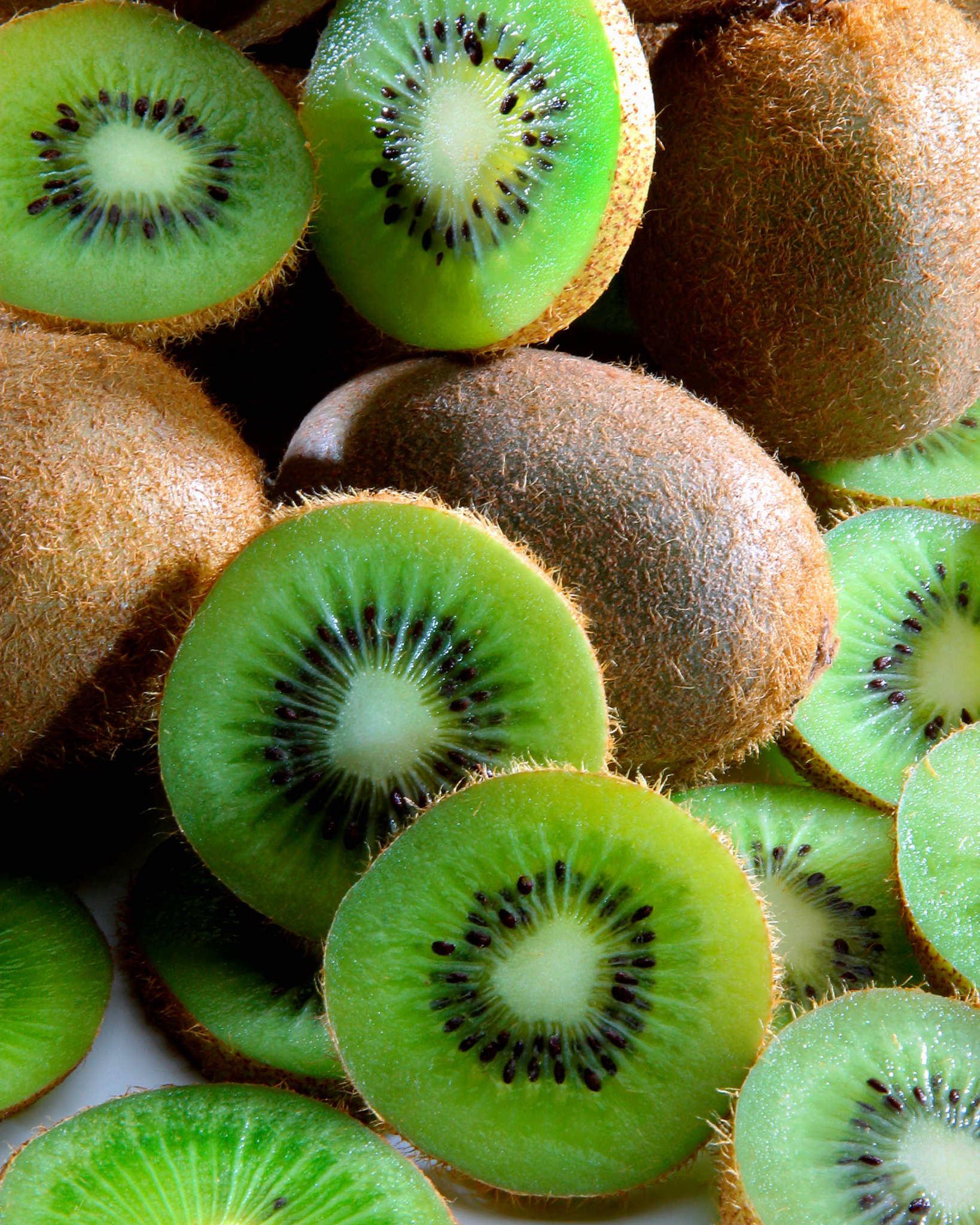 Les kiwis pourquoi il faut un mâle et une femelle ? Pépinières Rougieux — free download